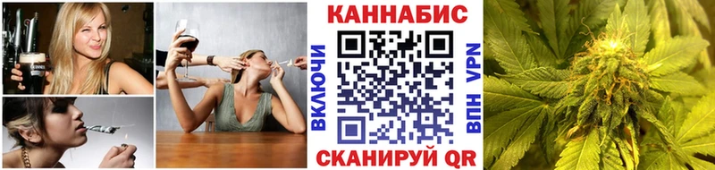Канабис OG Kush  Прохладный 